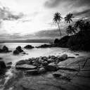 Loyal Days: Reimagined Discord Server Icon