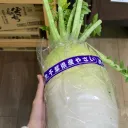 いんげん