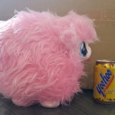 Shenanigan Corporation🎉 Discord server icon