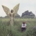 Halephia x Pizdaliz