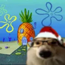 Dog House