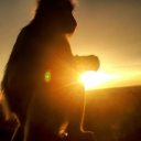 Smokey’s Tavern Discord server icon