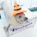 𝑓𝑒𝑚𝑏𝑜𝑦 𝑓𝑎𝑟𝑡𝑠. 🍂