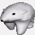 Bots only Discord server icon
