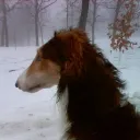 frigid
