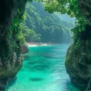 Pelagia discord icon