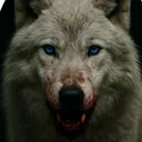 La Meute du Loup du Multivers