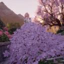 SugarPlum's cottage