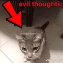 Evil Kittens