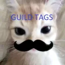 Guild Discord Tags