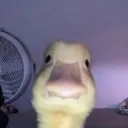 GennaroxG9 Gang