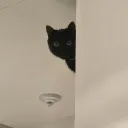 ıllı  Nameless