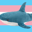 Blåhaj Ocean Discord server icon