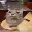 Awesome-O Server