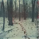 𝐸𝐿𝐸𝑉𝐸𝑁𝑇𝐻 𝐻𝑂𝑈𝑅 ₁₈₊ Discord Server Icon