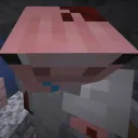 𝐅𝐋𝐎𝐖𝐄𝐑 𝐒𝐌𝐏 !!