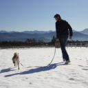 shimmy Discord server icon