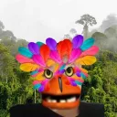 Birdhub