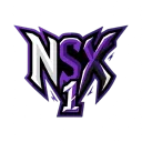 NSX1 Esports