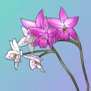 LaeLae's Flower Garden