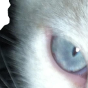 𝖌𝖗𝖆𝖛𝖊𝖞𝖆𝖗𝖉 𝖔𝖋 𝖆𝖓𝖌𝖊𝖑𝖘 ౨🪽 Discord server icon