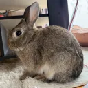 常磐のサーバー