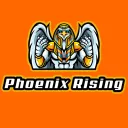 🐦🔥Phoenix Rising🐦🔥
