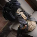 Deaths toys