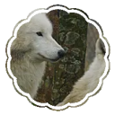  . Lycan's Resources !! — Discord Server Icon