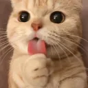 GATO