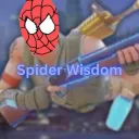 Spider Wisdom's Server