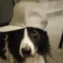 La Gang El Servidor