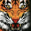 Tattoo Assassins Community