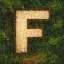 FEXIAL GAMES