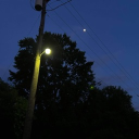 Maple’s Community Discord server icon