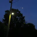 Maple’s Community