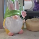 The Gacha Gnomes