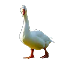 GroupSystemChrome’s editing server (hopefully)