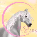 ✧ ﹒Misty Stars #os
