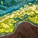 Project Justice Discord Server Icon