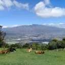 La Finca AoE3 DE