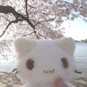 ˖ ๋࣭ ࣪ᴅɪᴠ1ɴᴇ˚⊱/⊰˚ ๋࣭ ࣪˖ Discord server icon