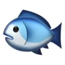 The Church of Fish