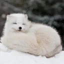 Timerin's Winter Cave
