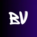 Bravik Esports