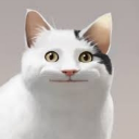 CookCat