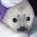 Freakbite