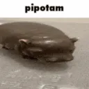 Partia PIPOTAM