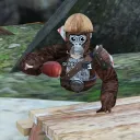DunkGT's Community 🥥