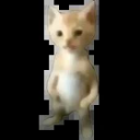 Server Icon